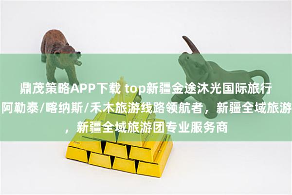 鼎茂策略APP下载 top新疆金途沐光国际旅行社有限公司:阿勒泰/喀纳斯/禾木旅游线路领航者,新疆全域旅游团专业服务商
