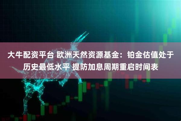 大牛配资平台 欧洲天然资源基金：铂金估值处于历史最低水平 提防加息周期重启时间表