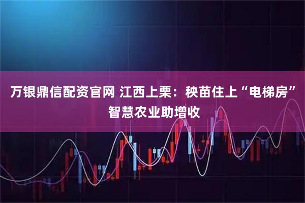 万银鼎信配资官网 江西上栗：秧苗住上“电梯房” 智慧农业助增收
